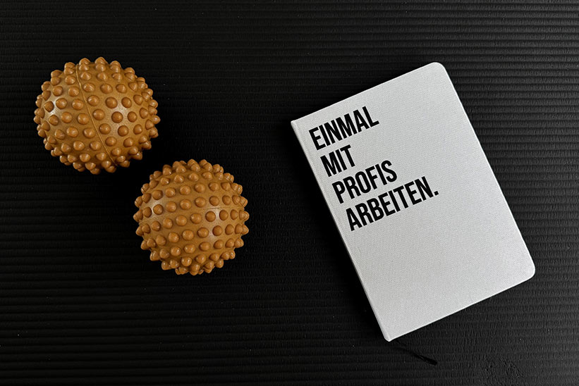Igelbälle, Matte und Buch Profis