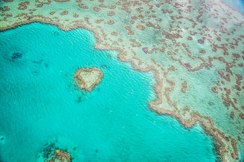 Riff - Reef